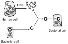 genetics and biotechnology, applications of biotechnology, genetics and biotechnology, technology of genetic engineering fig: lenv62014-examw_g2.png